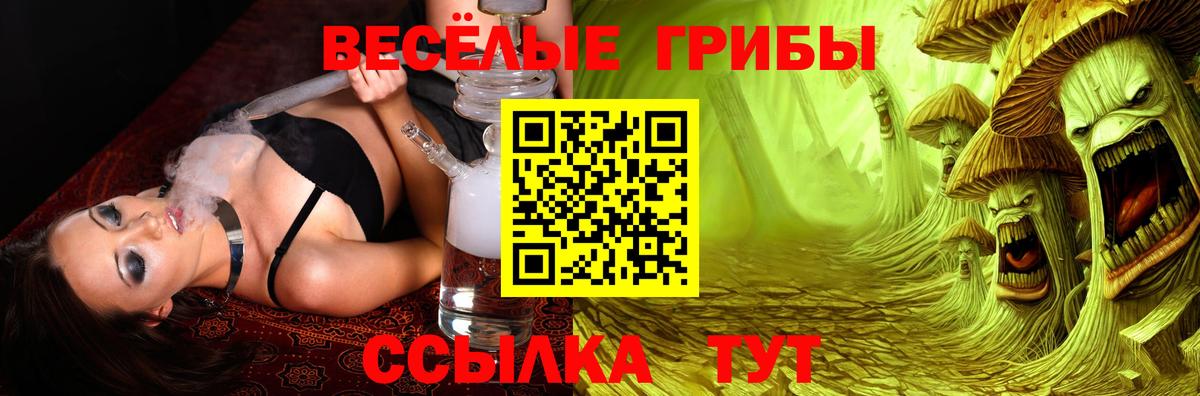 Галлюциногенные грибы Psilocybe  Вход с VPN  Керчь 